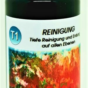 ELEA Sternenessenz T1_REINIGUNG als Spray